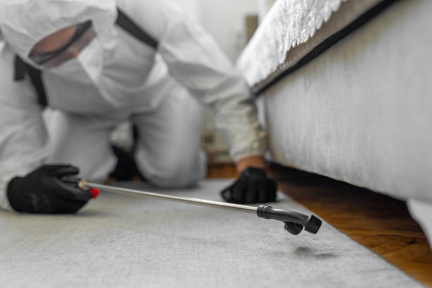Professional Ant Control technician working in Bourg, LA