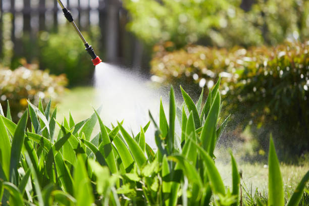 24/7 Emergency Ant Control experts in Bourg, LA